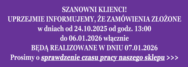 Przerwa konserwacyjno - urlopowa grudzień 2024/styczeń 2025