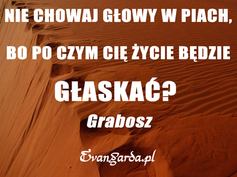 06-07-2016, Środa, Złota myśl na dziś :)